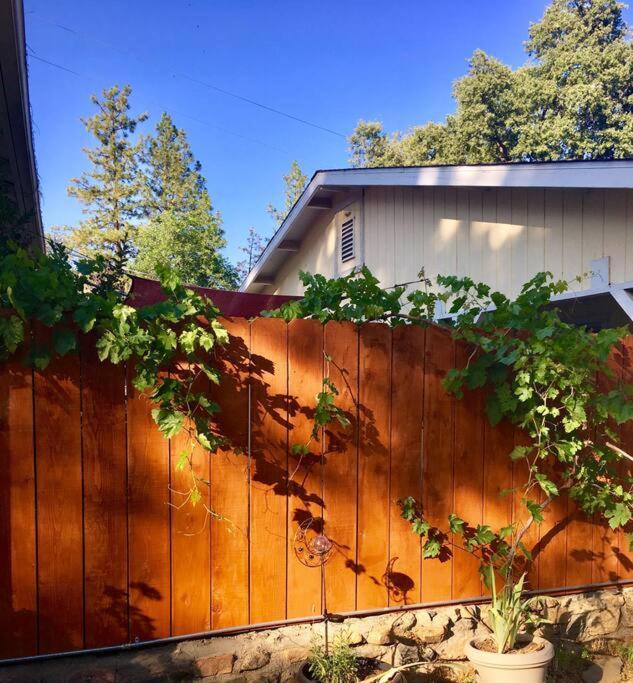 Sierra Sunset Cottage -Yosemite Area Vacation Cottage Ahwahnee Exterior foto